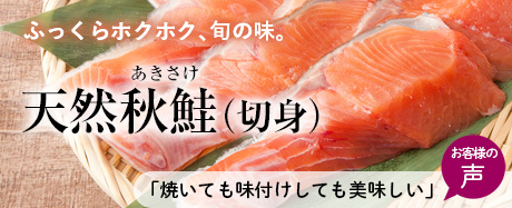 季節限定　秋鮭切身