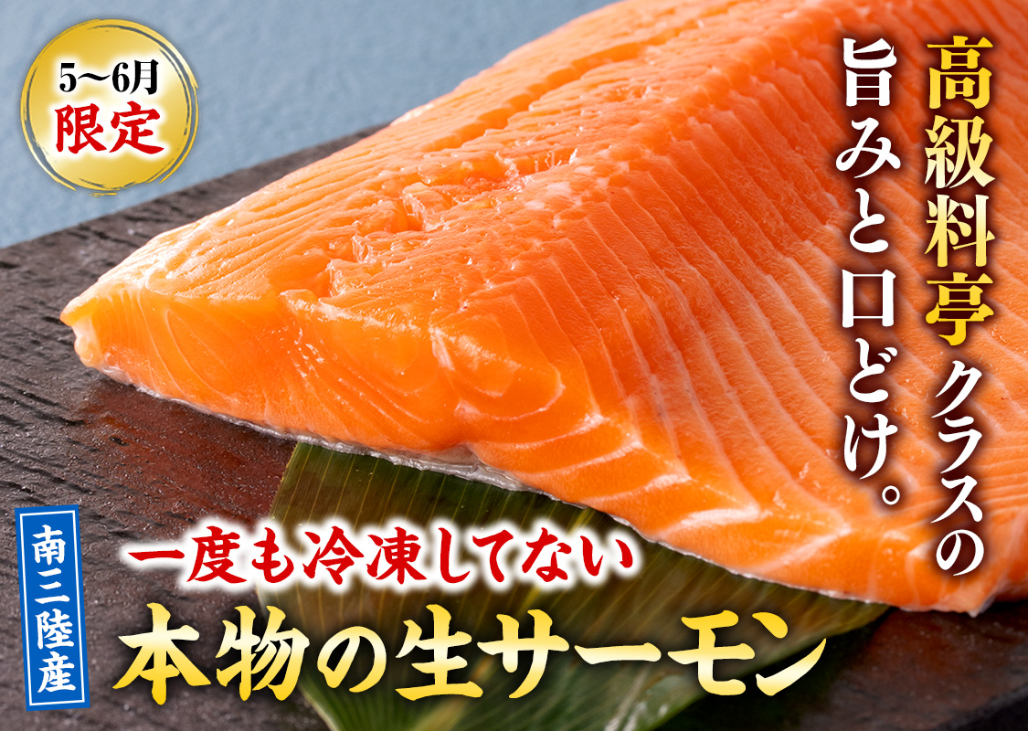 サーモンセット
