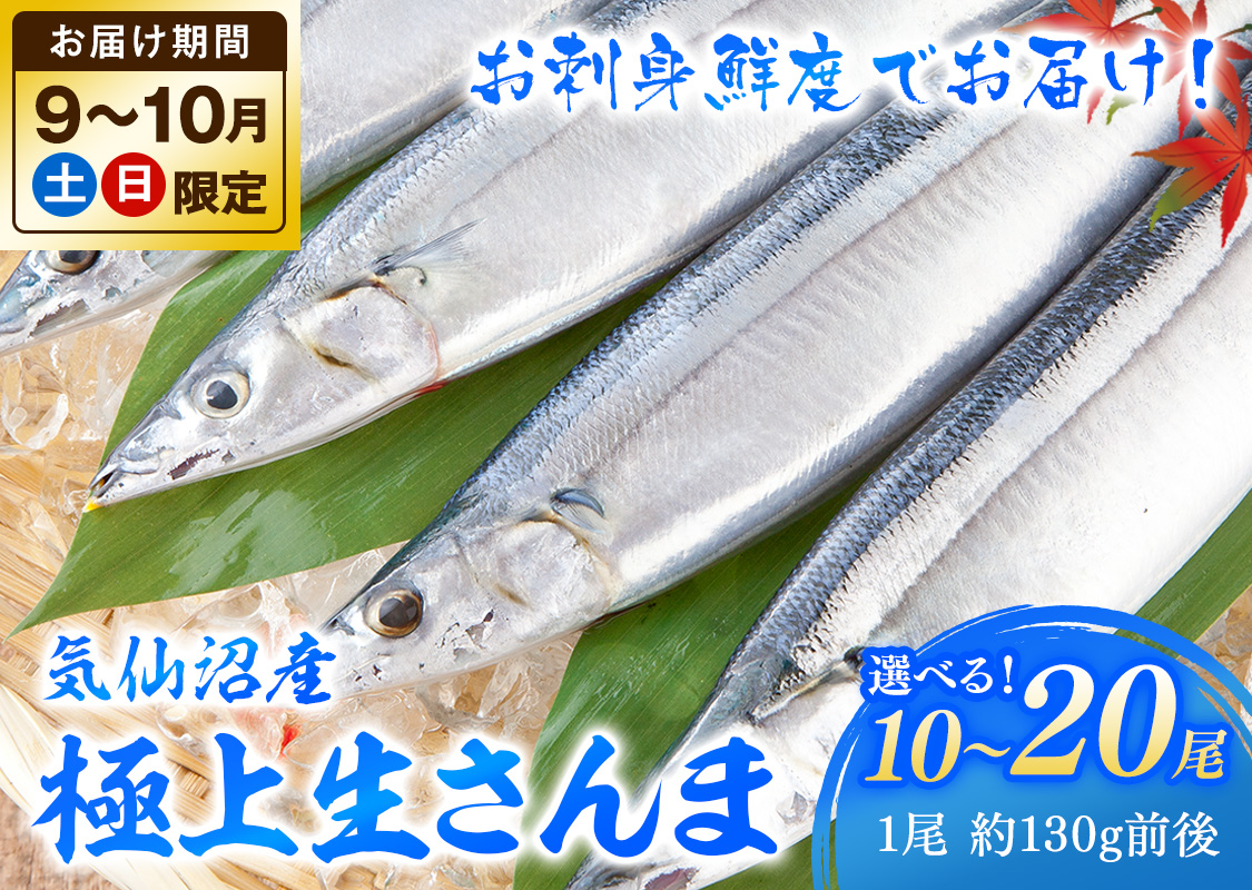 生サンマ