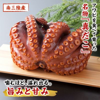 真蛸