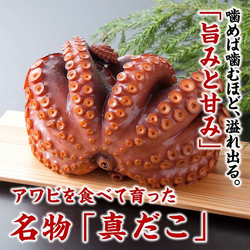 お刺身 真タコ（頭付き）｜魚介類の通販 販売【山内鮮魚店】