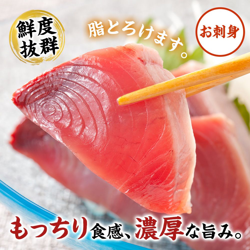 土日お届け限定】気仙沼産生カツオ（お刺身・タタキ）｜魚介類の通販 販売【山内鮮魚店】