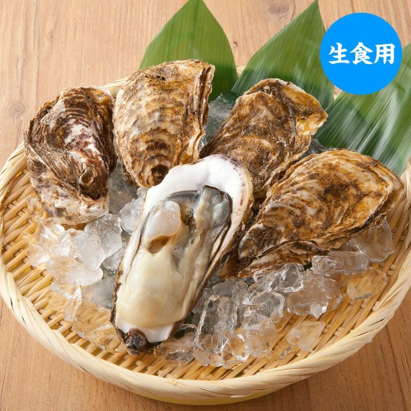 三陸産 殻付牡蠣 カキ 魚介類の通販 販売 山内鮮魚店