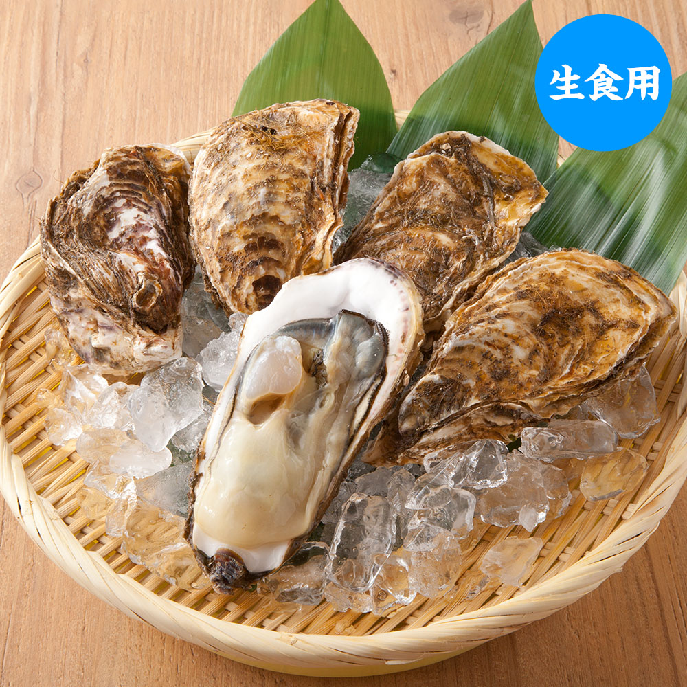 岩牡蠣と真牡蠣は何が違うの 魚介類の通販 山内鮮魚店