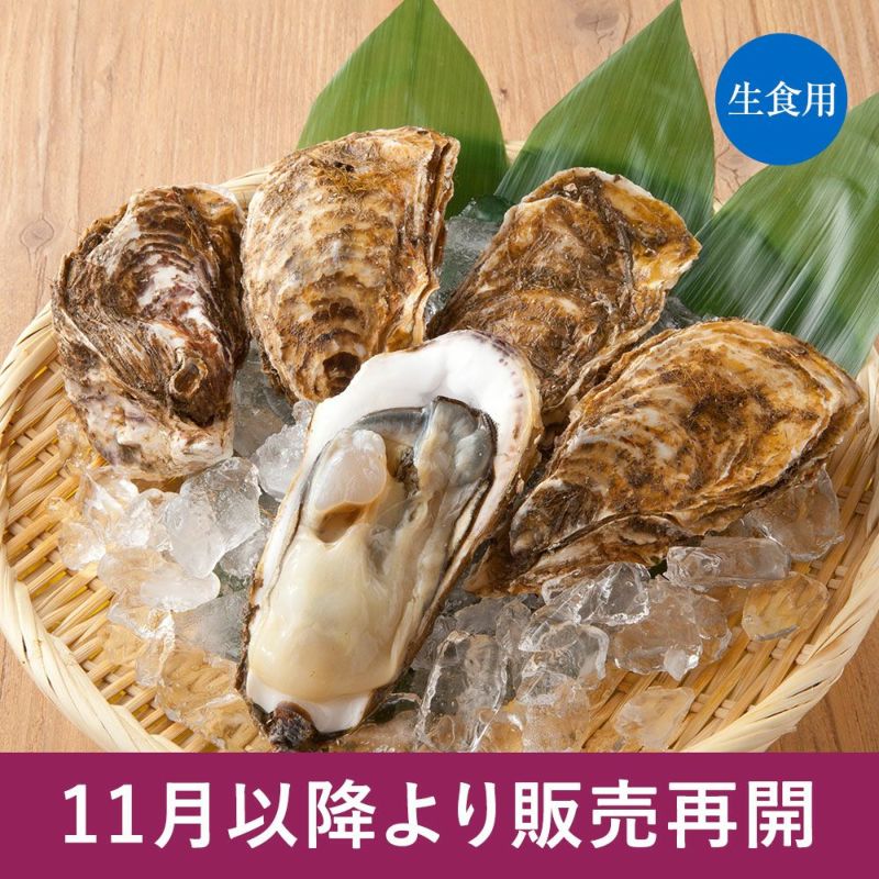 三陸産『殻付牡蠣(カキ)』｜魚介類の通販 販売【山内鮮魚店】