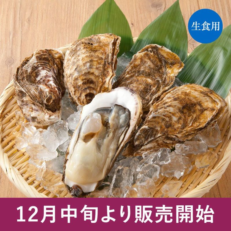 三陸産『殻付牡蠣(カキ)』｜魚介類の通販 販売【山内鮮魚店】