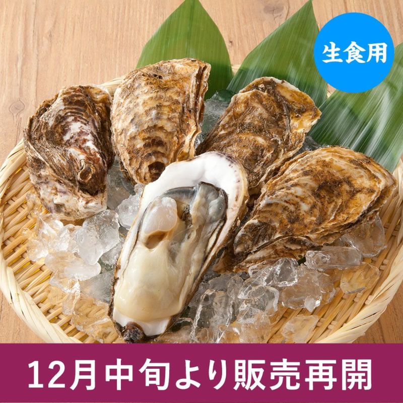 【生食用】三陸産『殻付牡蠣(カキ)』|魚介類の通販 販売【山内鮮魚店】