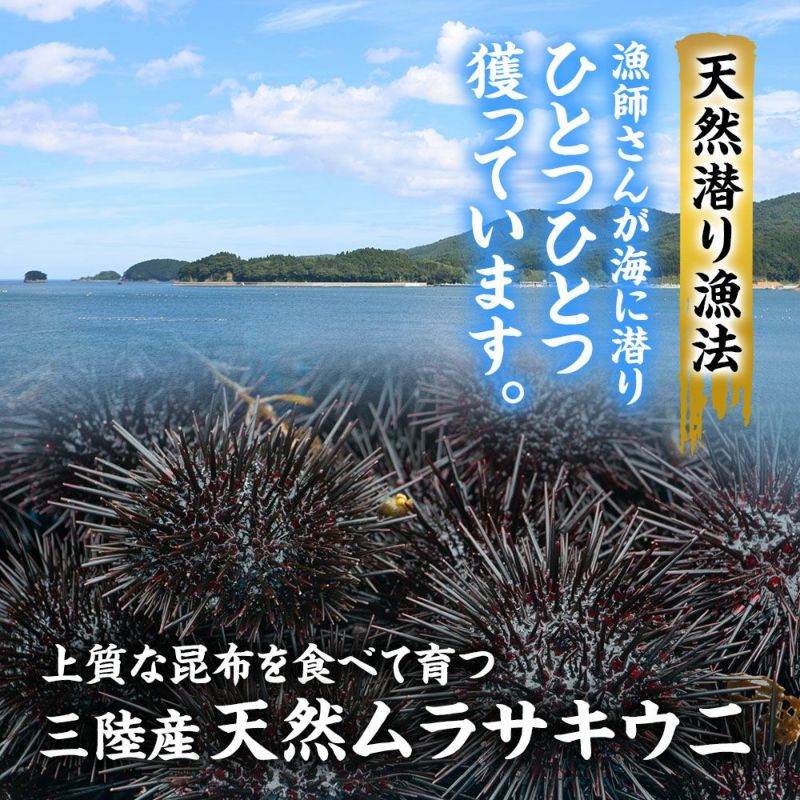 ブルー うにこんぶ様 ブルー うにこんぶ様