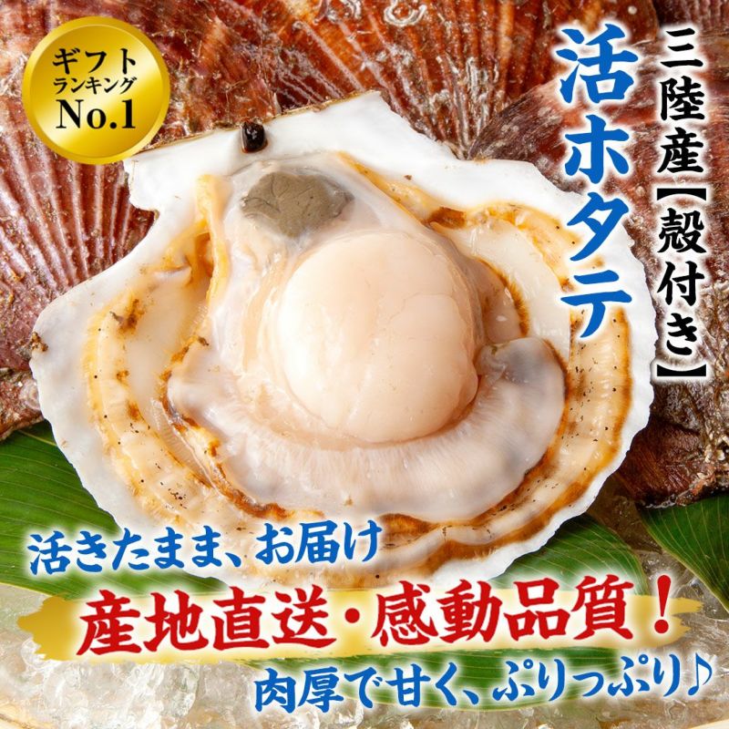 三陸産殻付活ホタテ｜魚介類の通販 販売【山内鮮魚店】