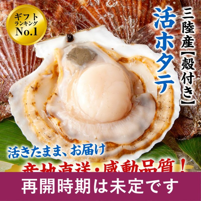 三陸産殻付活ホタテ|魚介類の通販 販売【山内鮮魚店】