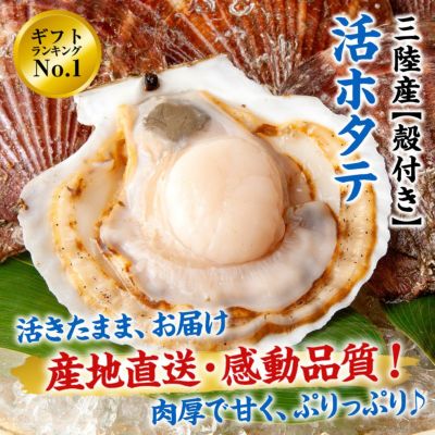 三陸産 殻付き活ホタテ