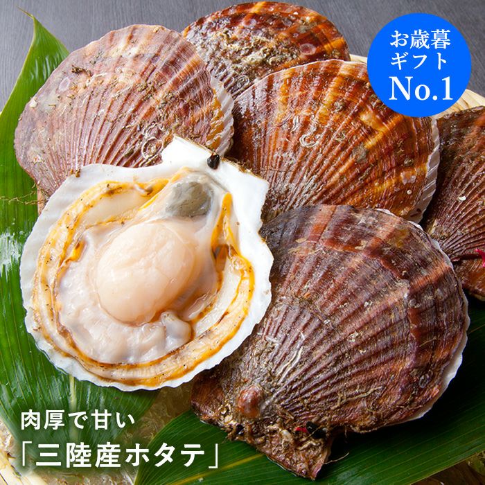 三陸産殻付活ホタテ｜魚介類の通販 販売【山内鮮魚店】