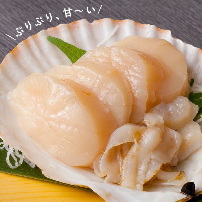 三陸産殻付活ホタテ｜魚介類の通販 販売【山内鮮魚店】