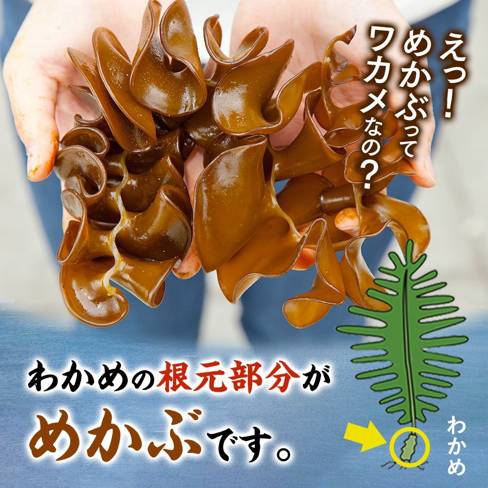 三陸産 生めかぶ