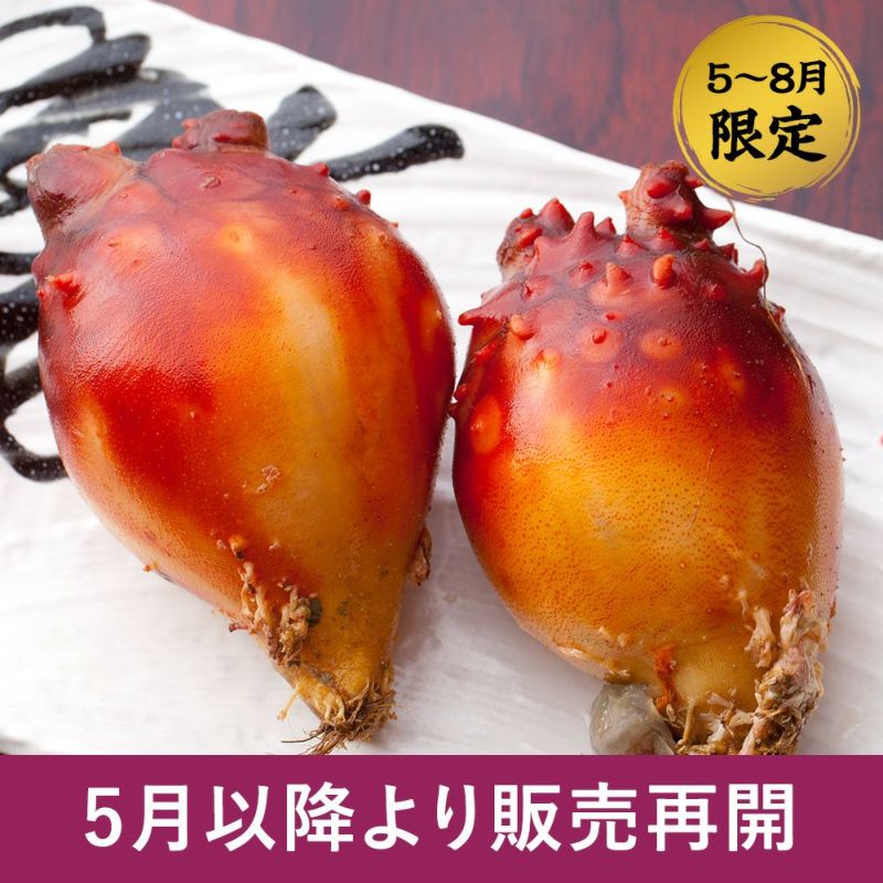 送料込み】三陸産 殻付生ほや ｜ホヤの通販なら山内鮮魚店