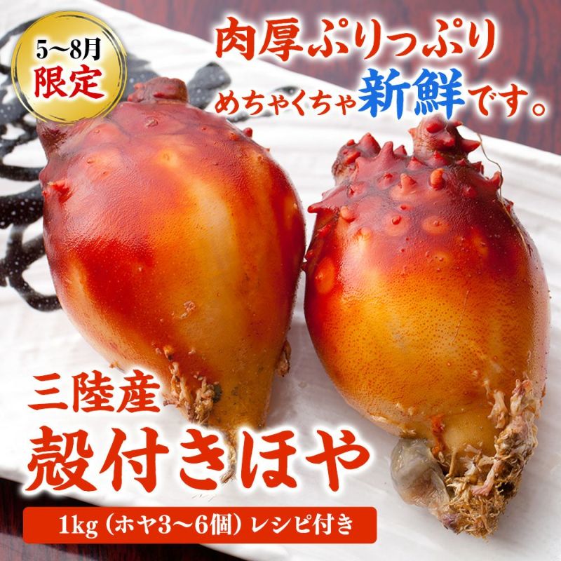 【送料込み】三陸産 殻付生ほや ｜ホヤの通販なら山内鮮魚店