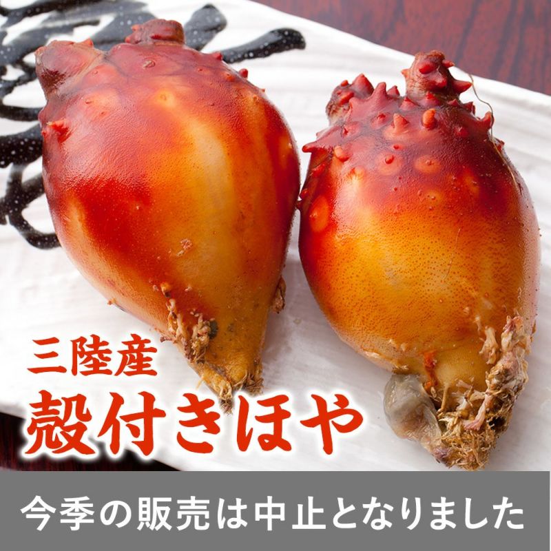 三陸産 殻付生ほや ｜ホヤの通販なら山内鮮魚店