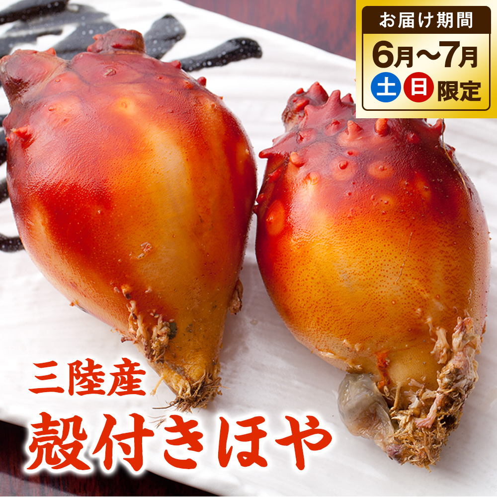 三陸産 殻付生ほや ｜ホヤの通販なら山内鮮魚店