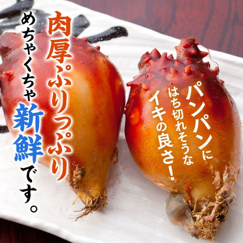 送料込み】三陸産 殻付生ほや ｜ホヤの通販なら山内鮮魚店