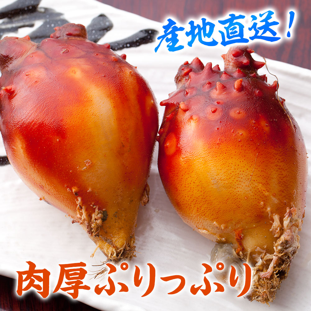 hokuhokumama☆ 様3点おまとめ専用　実付　14ジャボチカバ、他 三陸産 殻付生ほや ｜ホヤの通販なら山内鮮魚店