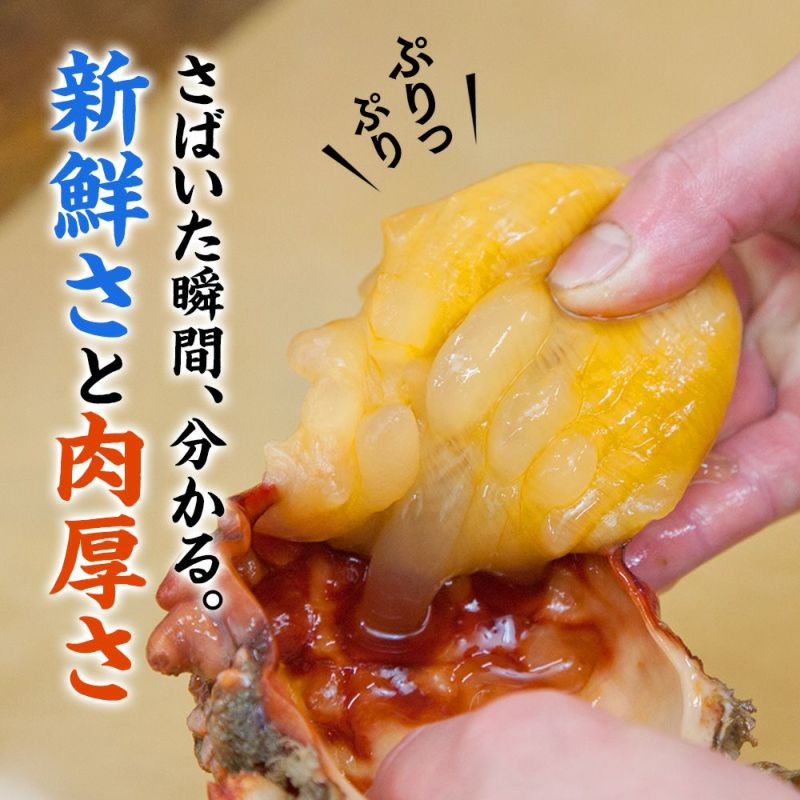 送料込み】三陸産 殻付生ほや ｜ホヤの通販なら山内鮮魚店