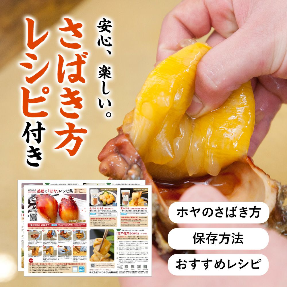 三陸産 殻付生ほや ｜ホヤの通販なら山内鮮魚店
