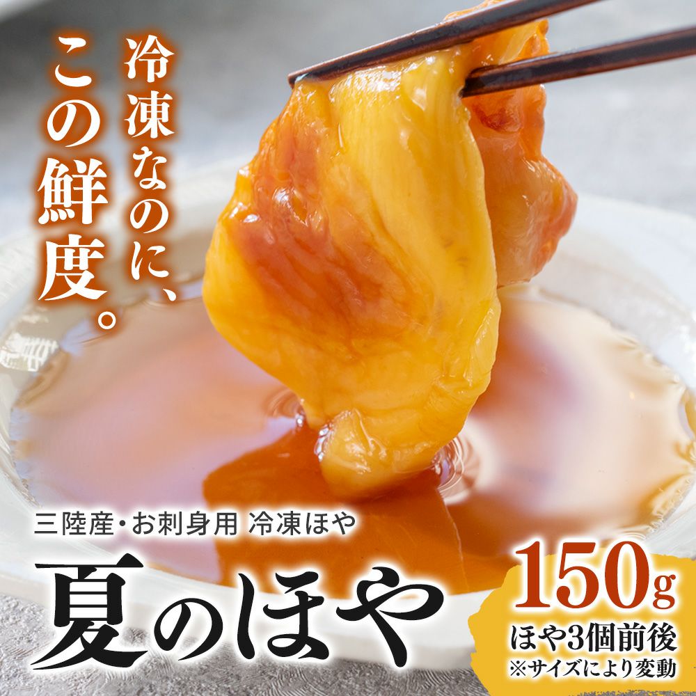 専用　ホヤ　Hoya 2点 専用】ホヤ2種類 【公式通販】