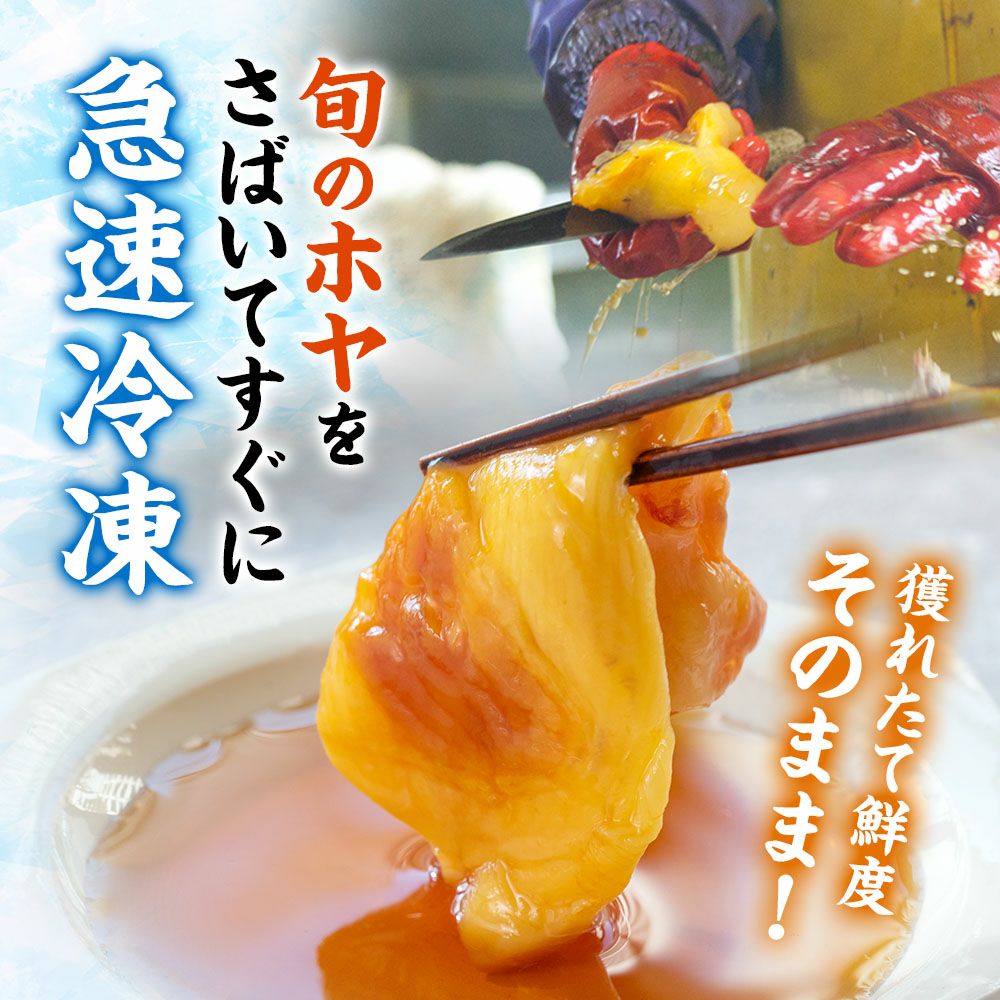 生ほや むき身(刺身用 冷凍)250g｜ほやの通販なら山内鮮魚店