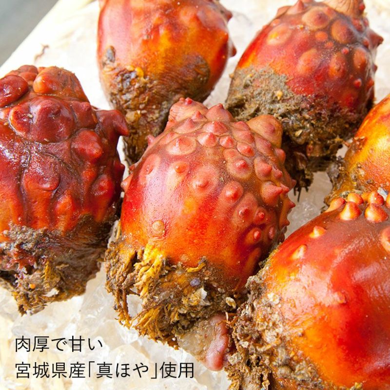 肉厚で甘い 宮城県産真ホヤを使用