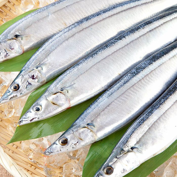 【送料込み】気仙沼産「極上生さんま」10尾(1.2kg以上)　※秋刀魚レシピ・かぼす付き《クール冷蔵発送》 | 海鮮と魚介類の通販【山内鮮魚店】