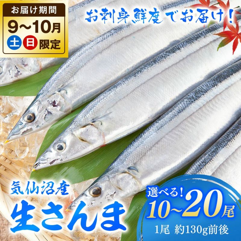 【土日お届け限定】気仙沼産「極上生さんま」10~20尾（約1.3~2.6kg）秋刀魚レシピ付き《クール冷蔵発送》※生鮮品 | 海鮮と魚介類の通販【山内鮮魚店】