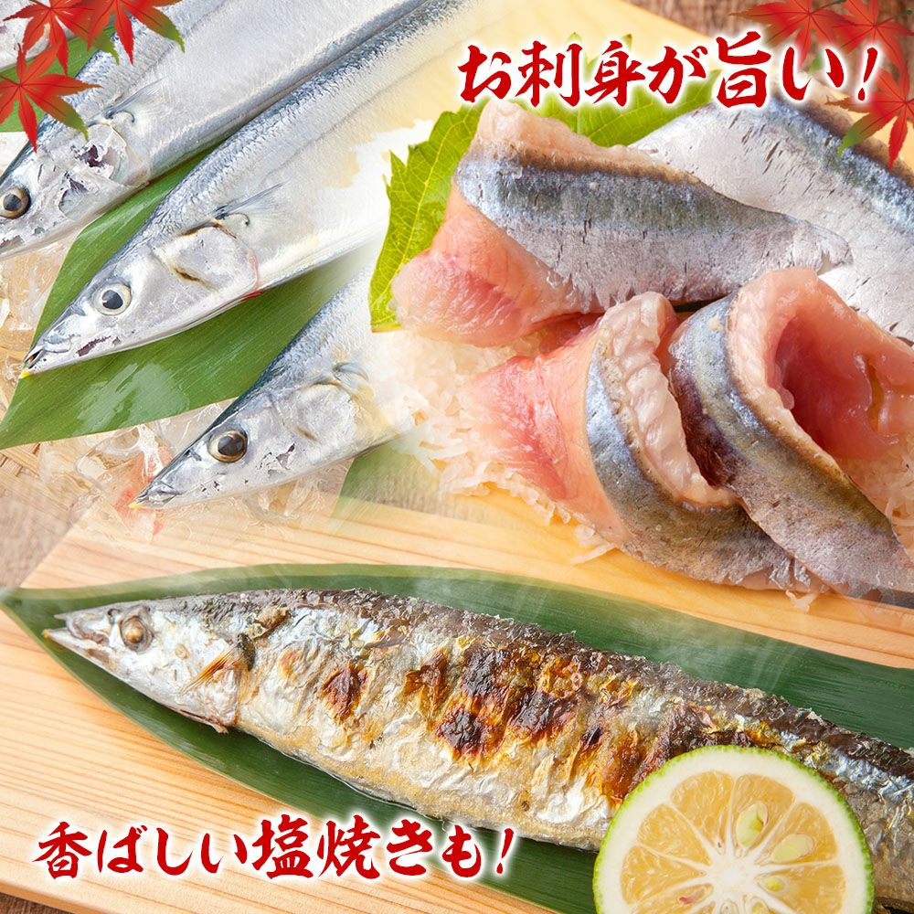 秋刀魚