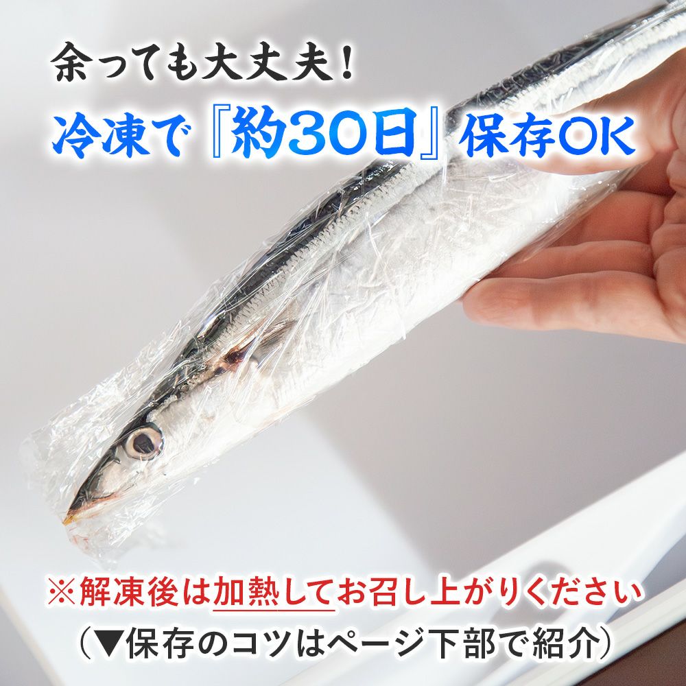 土日お届け限定】気仙沼産「極上生さんま」10~20尾（約1.3~2.6kg