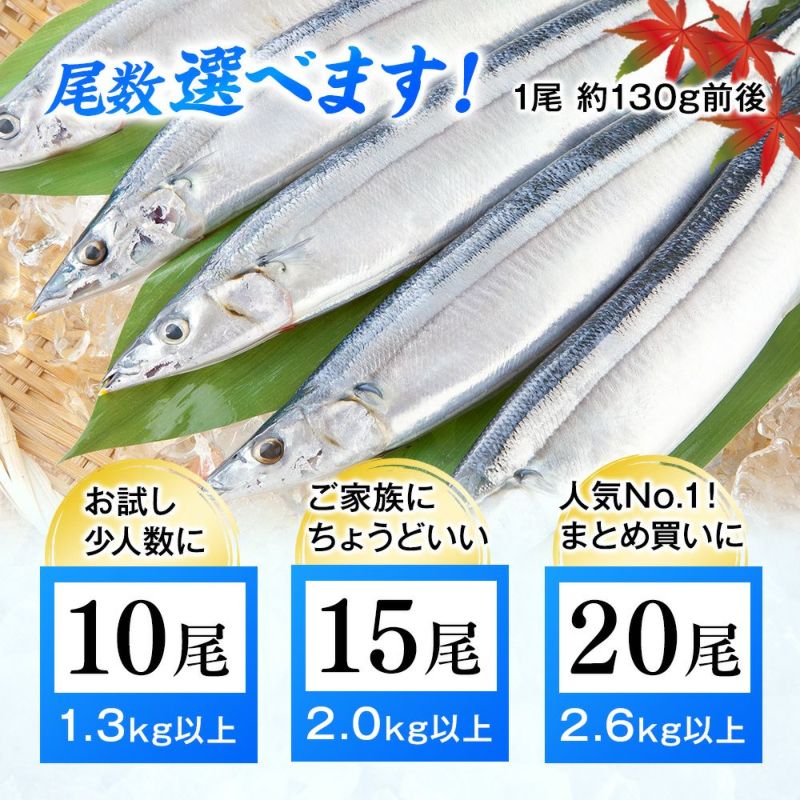 We様　予約分 魚沼新 気仙沼直送 生さんま 10尾(大) 送料無料 【冷蔵】