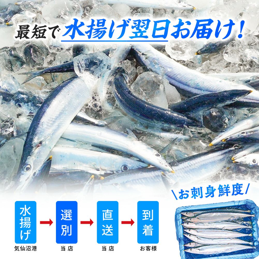 秋刀魚