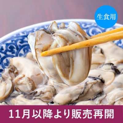 生食用生かき むき身 魚介類の通販 販売 山内鮮魚店