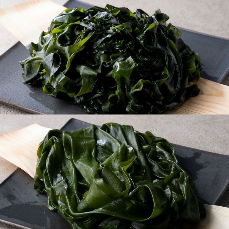 海藻2点セット　塩蔵わかめ　塩蔵昆布