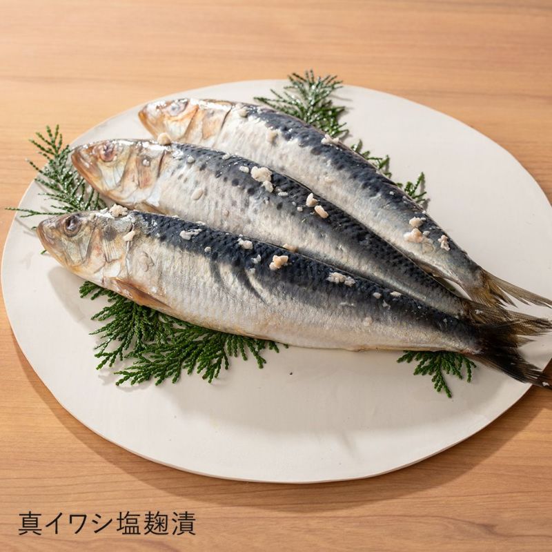 真イワシ塩麹漬け