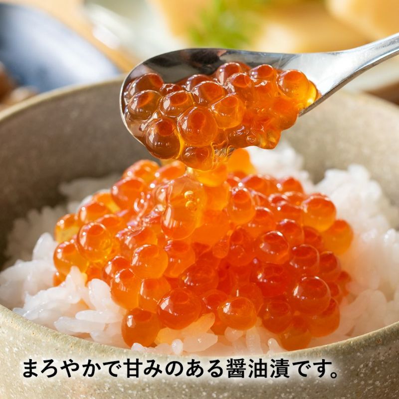 酒の肴 5本セット