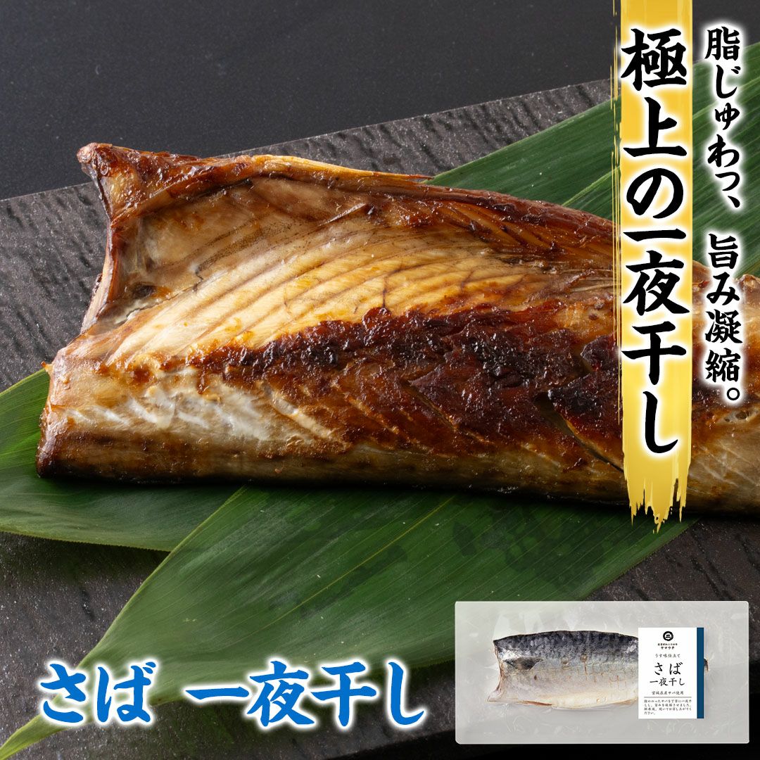鮮魚店の人気干物セット「梅」