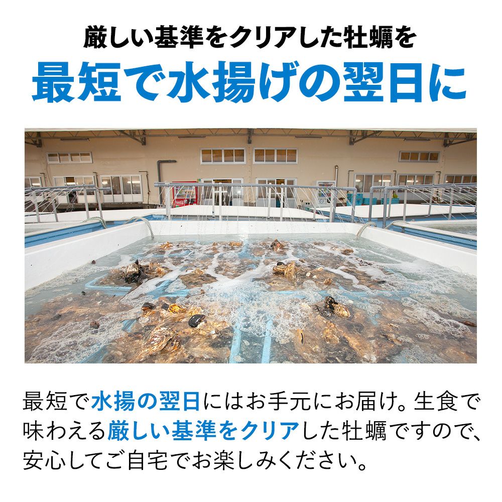殻付き牡蠣